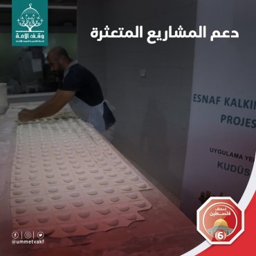 دعم المشاريع المتعثرة