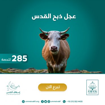 سهم عجل