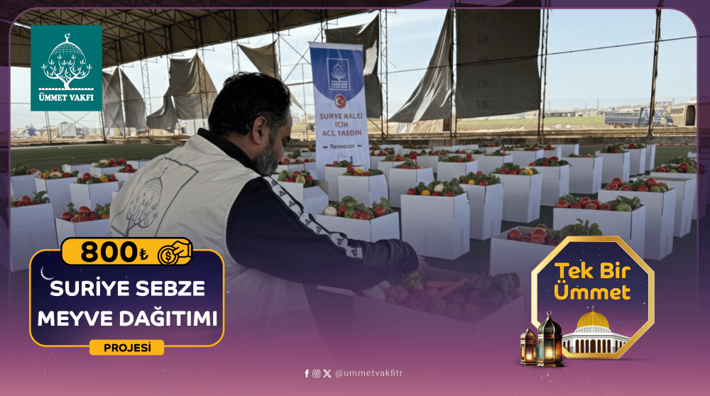 Sebze Meyve Dağıtımı (Suriye)
