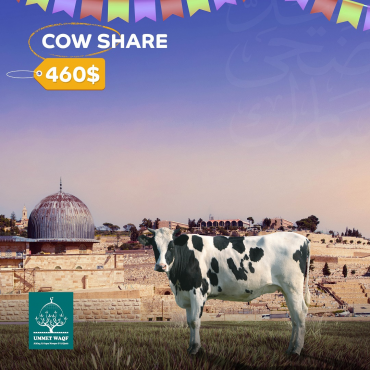 Cow Share Qurbani in Al-Quds