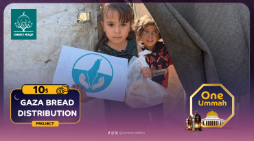 Bread Distribution  (Gaza)