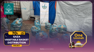 Vegetable Basket Distribution  (Gaza)