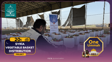Vegetable Basket Distribution  (Syria)
